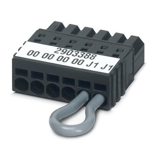 Plug image 1