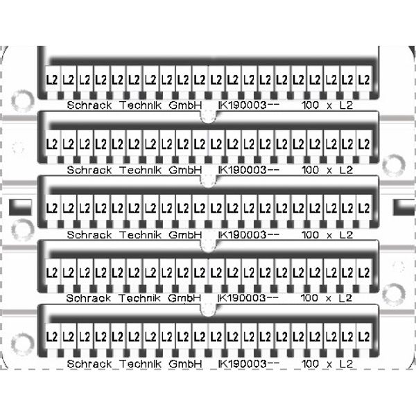 Marking tags 100x 'L2' image 1