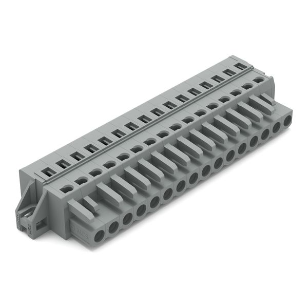 1-conductor female connector CAGE CLAMP® 2.5 mm² gray image 1