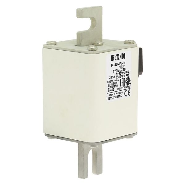 Fuse-link, high speed, 315 A, AC 1250 V, size 2, 61 x 77 x 138 mm, aR, DIN, IEC, single indicator image 16