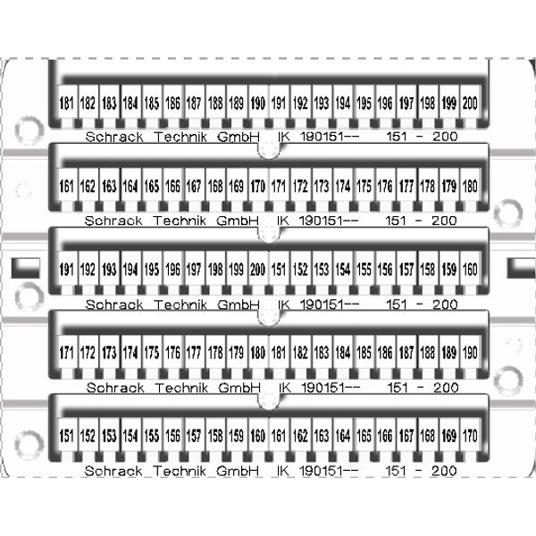 Marking tags 151-201 (each 2x) image 1