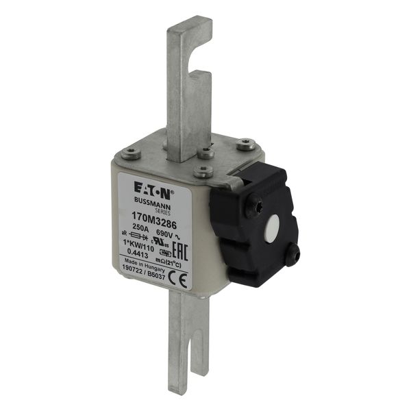 FUSE 250A 690V 1*KW/110 AR. image 7