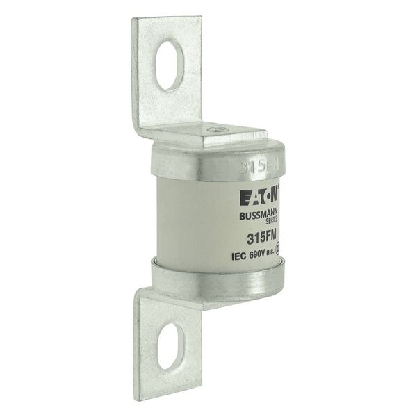 5.5KV 125E BHLE FUSE image 20