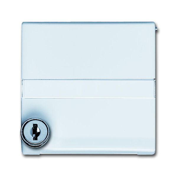 2118 GKSLN/11-34 CoverPlates (partly incl. Insert) Flush-mounted, water-protected, special connecting devices Alpine white image 1
