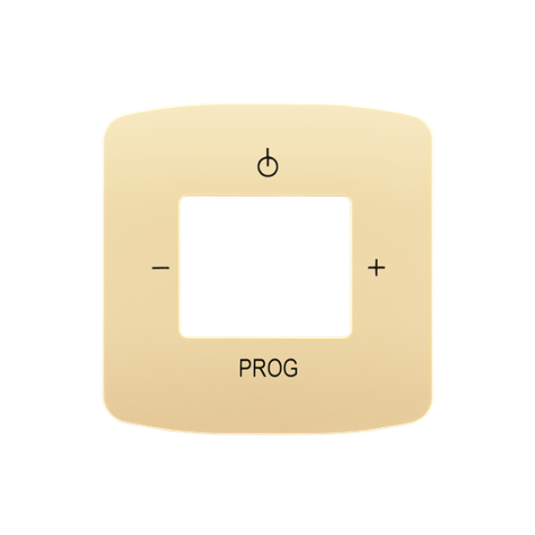 3299A-A40200 D Cover plate for amplifier with FM tuner or Internet radio Busch-iNet image 2