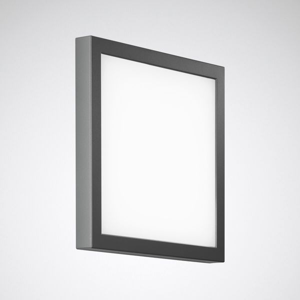 Wall and ceiling luminaire Skeo Pura Lens Anthracite ET 25W 1500lm Lambertian (L) IP65 IK07 5 SDCM image 1