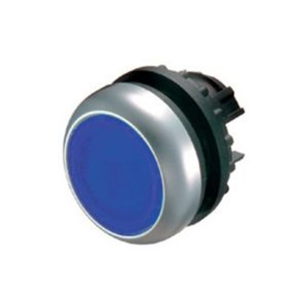 Illuminated pushbutton actuator, RMQ-Titan, Flush, momentary, Blue, Blank, Bezel: titanium image 4