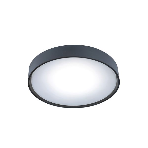 Ceiling Light Dark Grey  Ibiza image 1