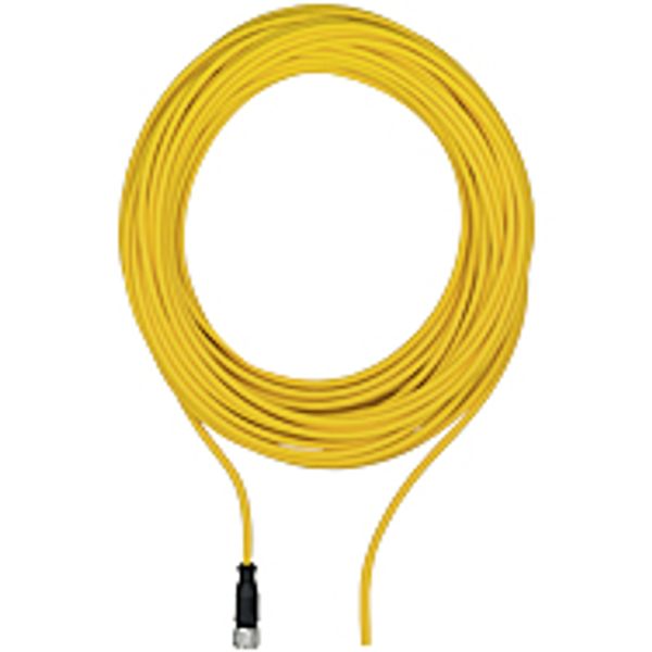 PSEN op cable axial M12 12-pole 3m image 1