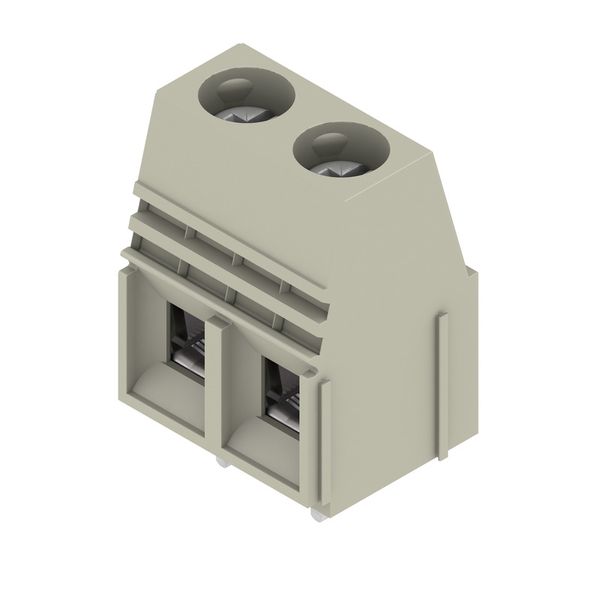 PCB terminal, 10.16 mm, Number of poles: 2, Conductor outlet direction image 2