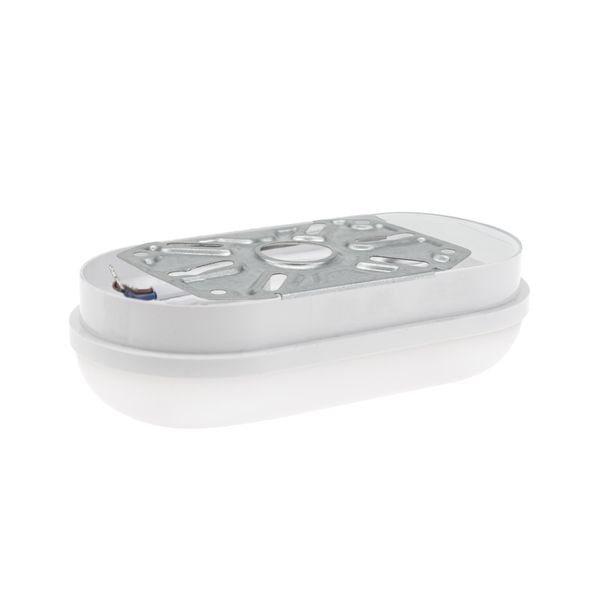 TECHNIC LAMP LED 8W IP54 230V OVAL NW image 19