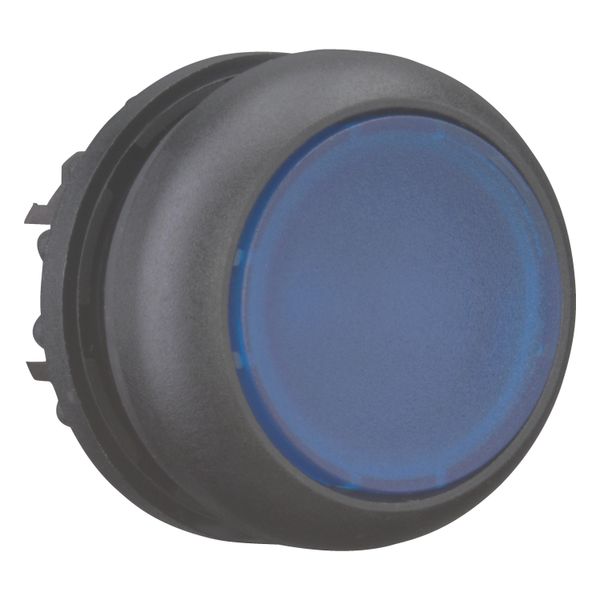 Illuminated pushbutton actuator, RMQ-Titan, Flush, maintained, Blue, Blank, Bezel: black image 14