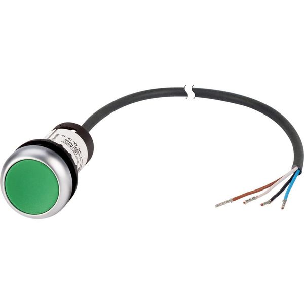 Pushbutton, Flat, momentary, 1 N/O, Cable (black) with non-terminated end, 4 pole, 3.5 m, green, Blank, Bezel: titanium image 4