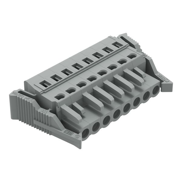 1-conductor female connector CAGE CLAMP® 2.5 mm² gray image 1