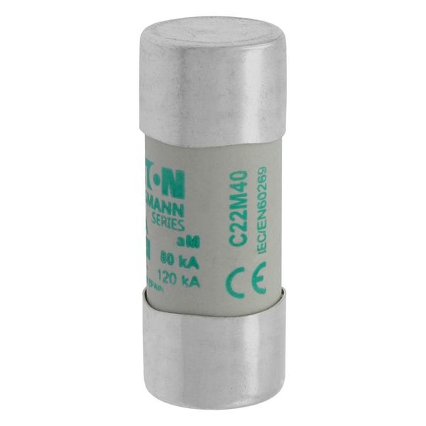 Fuse-link, LV, 40 A, AC 690 V, 22 x 58 mm, aM, IEC image 9