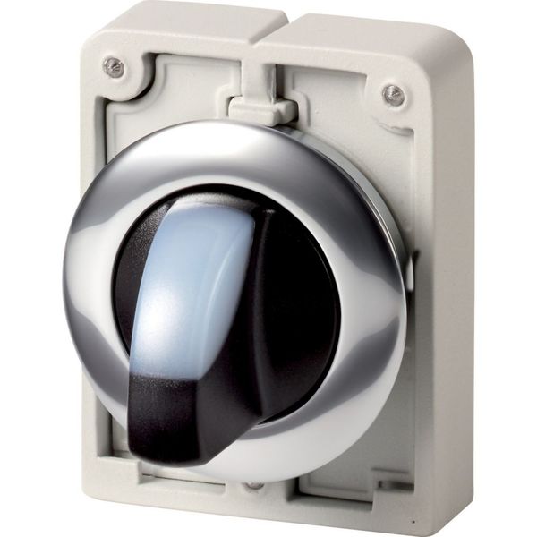 Illuminated selector switch actuator, RMQ-Titan, With thumb-grip, momentary, 2 positions, White, Metal bezel image 5