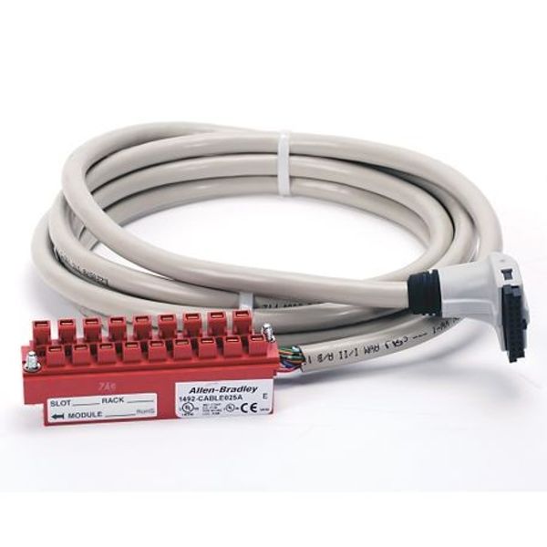 Allen-Bradley 1492-CABLE020TBCH Connection Products, Digital Cable, 2.0 m (6.56 ft), 1492-CABLE(1)TBCH MOD-RDY 40C image 1