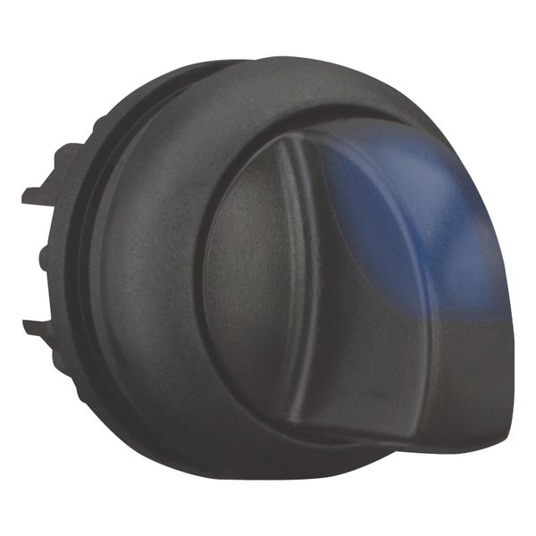 Illuminated selector switch actuator, RMQ-Titan, With thumb-grip, momentary, 2 positions, Blue, Bezel: black image 10