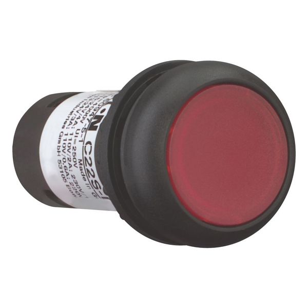 Illuminated pushbutton actuator, Flat, maintained, 1 NC, Screw connection, LED Red, red, Blank, 120 V AC, Bezel: black image 6