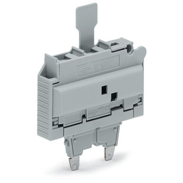 Fuse plug with pull-tab for glass cartridge fuse ¼" x 1¼" gray image 2