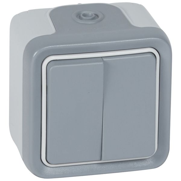 Switch Plexo IP 55 - 2 gang 2-way - 10 AX - 250 V~ - surface mounting - grey image 2