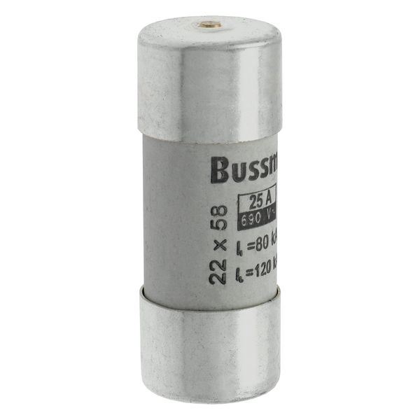 Fuse-link, LV, 25 A, AC 690 V, 22 x 58 mm, gL/gG, IEC, with striker image 19