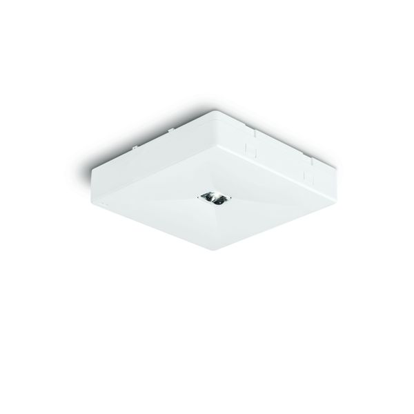 OntecRM5105MST/W Emergency lighting LED image 1