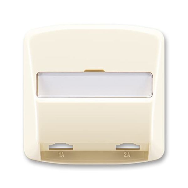 5013A-A00215 C Cover for Modular Jack outlet 2-gang image 1
