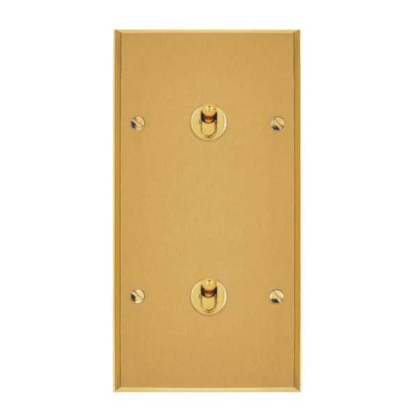 Art d'Arnould universe Memory two two-way switch or lever switch 10A - brushed gold image 2