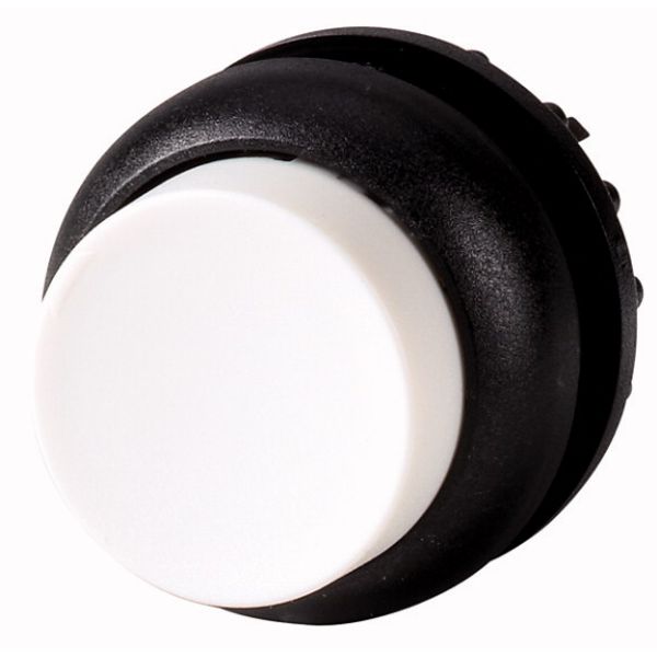 Pushbutton, RMQ-Titan, Extended, maintained, White, Blank, Bezel: black image 1