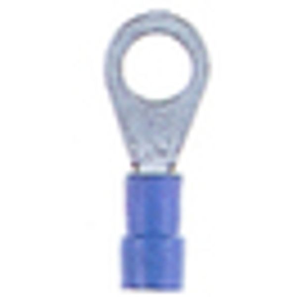 Insulated ring connector terminal M6 blue, 1.5-2.5mmý image 2