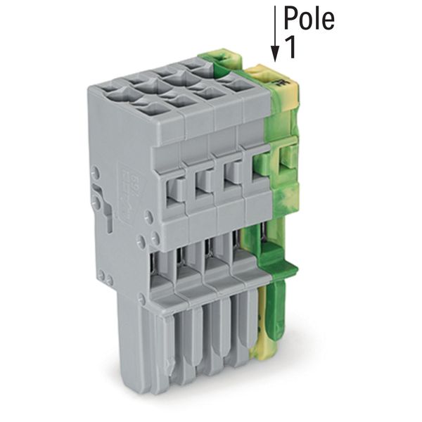 1-conductor female connector CAGE CLAMP® 4 mm² green-yellow/gray image 2