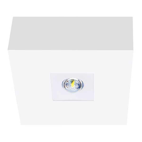 Square plug over housing B1 for emergency luminaires NLILD.. image 1