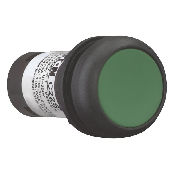 Pushbutton, Flat, momentary, 1 N/O, Screw connection, green, Blank, Bezel: black image 13