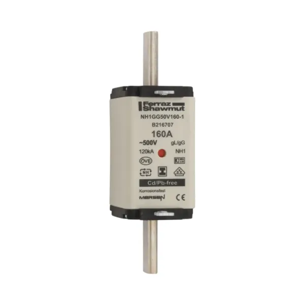 Fuse-link NH1 gG 500VAC 160A isolated tags Double indicator image 2