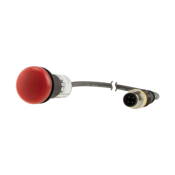 Indicator light, Flat, Cable (black) with M12A plug, 4 pole, 0.2 m, Lens Red, LED Red, 24 V AC/DC image 6