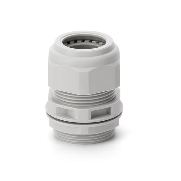 CABLE GLAND PG 21 LIGHT VERSION image 2