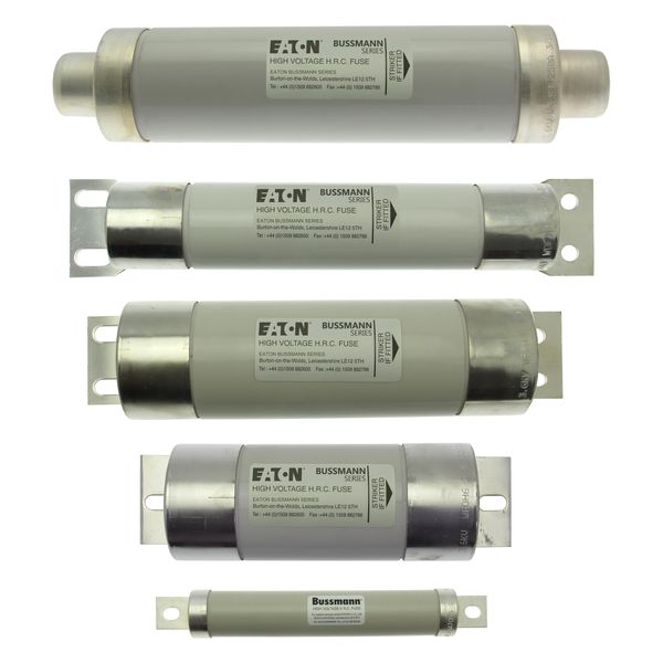 Motor fuse-link, medium voltage, 80 A, AC 3.6 kV, 51 x 254 mm, back-up, BS, with striker image 4