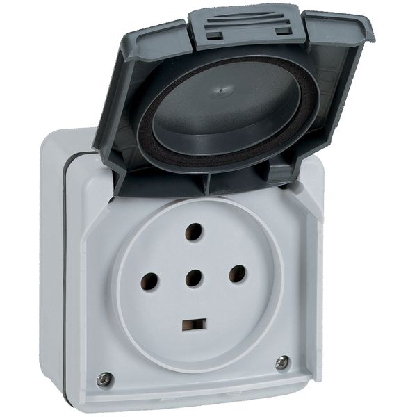 Socket outlet Plexo IP 55 - 20 A - 3P+N+E - 230 V~ - surface mounting - grey image 1