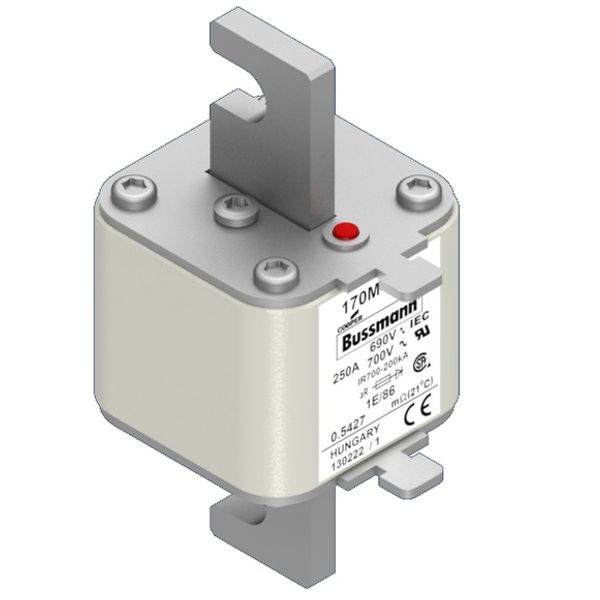 Fuse-link, high speed, 250 A, AC 690 V, size 1, 53 x 69 x 111 mm, aR, IEC, type T indicator image 3