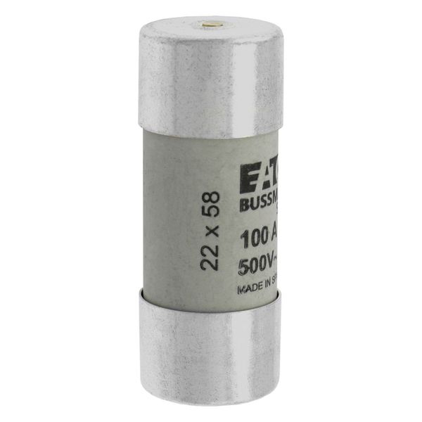 Fuse-link, LV, 100 A, AC 500 V, 22 x 58 mm, gL/gG, IEC, with striker image 19