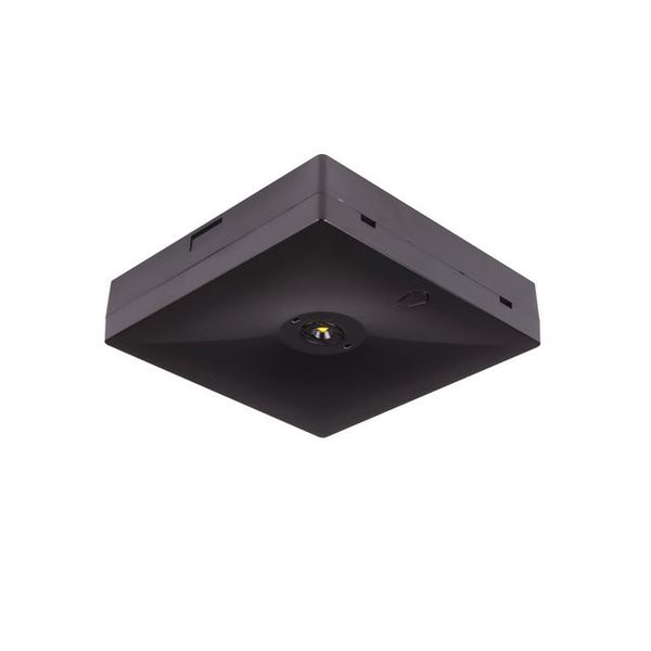 Starlet QUAD LED SCH 250 SA 1H AT [BLK] image 1