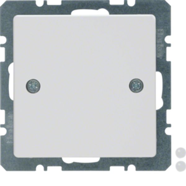 Blind plug centre plate, screw-on, Q.1/Q.3, p. white velvety image 1