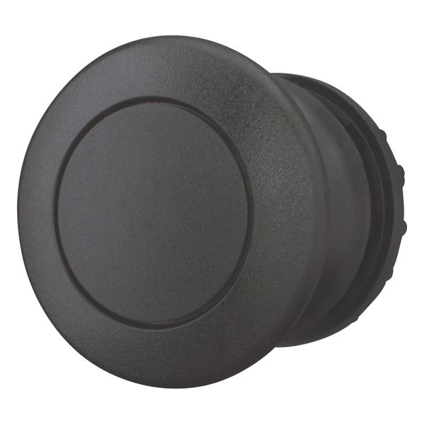 Mushroom actuator, RMQ-Titan, Mushroom, maintained, Mushroom black, black, Blank, Bezel: black image 8