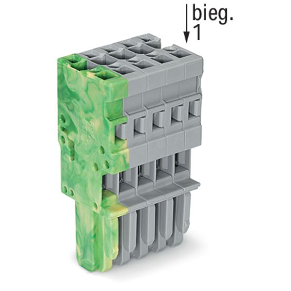 1-conductor female connector CAGE CLAMP® 4 mm² gray, green-yellow image 3