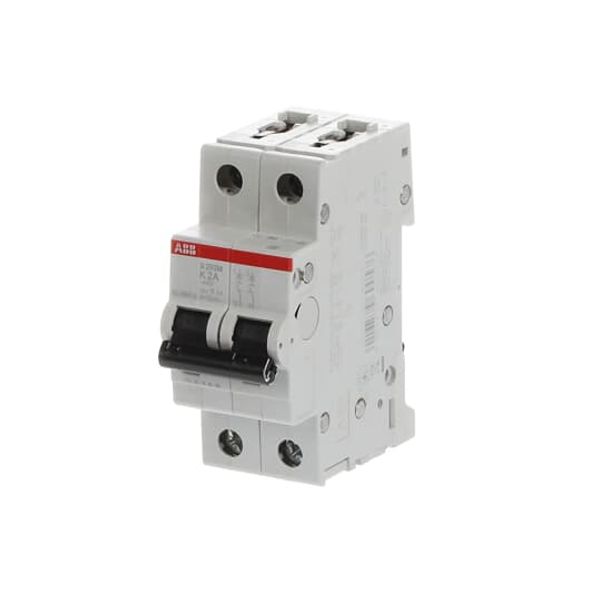 S202M-Z2 Miniature Circuit Breaker - 2P - Z - 2 A image 3