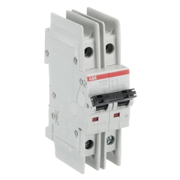 SU202M-C25 Miniature Circuit Breaker - 2P - C - 25 A image 6