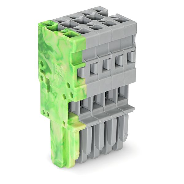 1-conductor female connector CAGE CLAMP® 4 mm² gray, green-yellow image 1