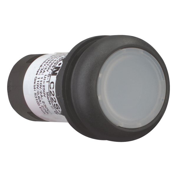 Illuminated pushbutton actuator, Flat, momentary, 1 N/O, Screw connection, LED white, White, Blank, 120 V AC, Bezel: black image 7