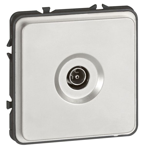 TV socket  Soliroc - male - IP 20 - 0-2400 MHz image 2